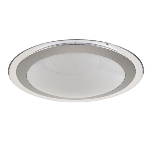 Потолочный светодиодный светильник Freya Halo FR6998-CL-45-W Потолочный светодиодный светильник Freya Halo FR6998-CL-45-W