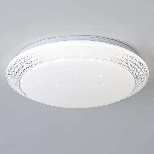 Потолочный светильник Reluce 02099-9.2-60W*2 Потолочный светильник Reluce 02099-9.2-60W*2