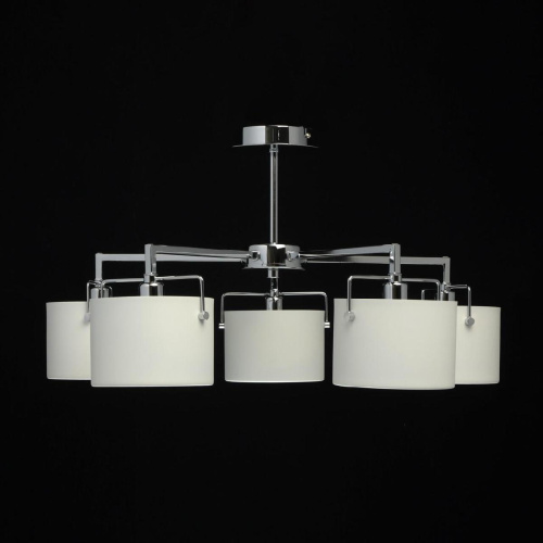 Потолочная люстра MW-Light Сайрус 1 721010105 Потолочная люстра MW-Light Сайрус 1 721010105