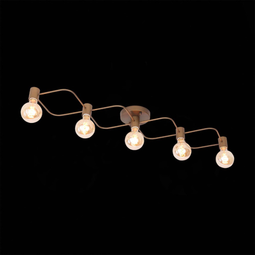Потолочная люстра ST Luce Tavere SL413.212.05 Потолочная люстра ST Luce Tavere SL413.212.05