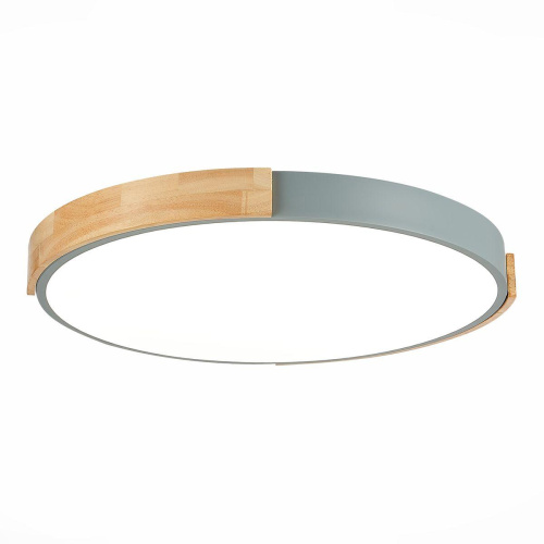 Потолочный сетодиодный светильник Evoluce Delia SLE201372-01 Потолочный сетодиодный светильник Evoluce Delia SLE201372-01