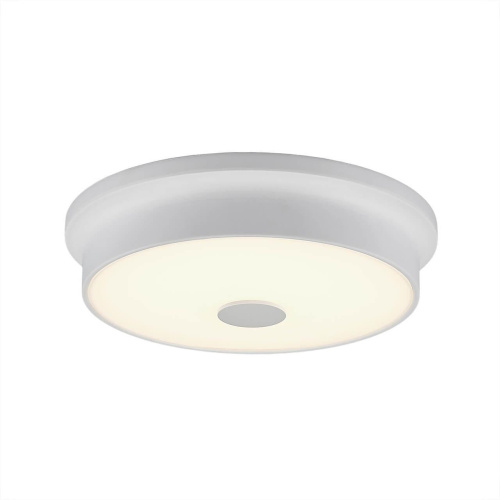 Потолочный светодиодный светильник Citilux Фостер-2 CL706220 Потолочный светодиодный светильник Citilux Фостер-2 CL706220