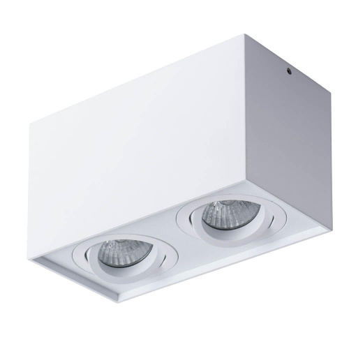 Потолочный светильник Arte Lamp Factor A5544PL-2WH Потолочный светильник Arte Lamp Factor A5544PL-2WH