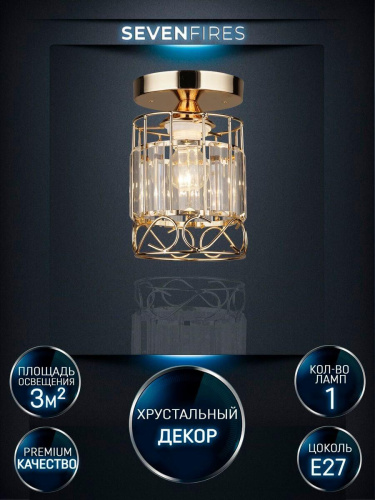 Потолочный светильник Seven Fires Beteni WD3567/1C-FGD-CL Потолочный светильник Seven Fires Beteni WD3567/1C-FGD-CL