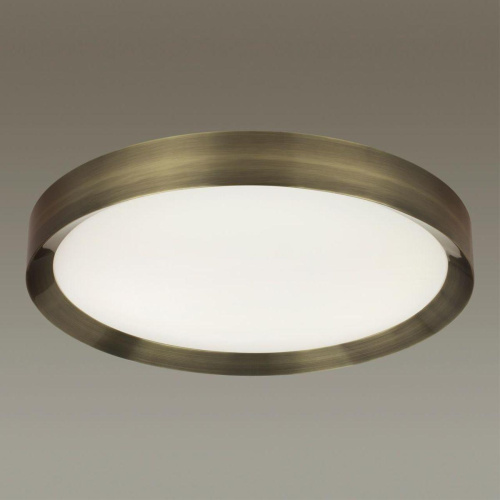 Потолочный светодиодный светильник Odeon Light Walli Lunor 4948/60CL Потолочный светодиодный светильник Odeon Light Walli Lunor 4948/60CL