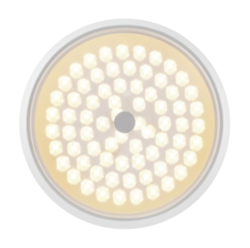 Потолочный светодиодный светильник Freya Cells FR10012CL-L24W Потолочный светодиодный светильник Freya Cells FR10012CL-L24W