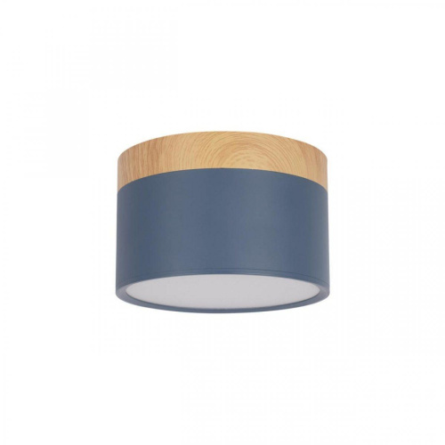 Накладной светодиодный светильник Loft IT Grape 10162 Blue Накладной светодиодный светильник Loft IT Grape 10162 Blue