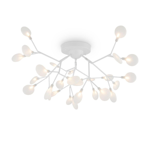 Потолочная люстра Freya Florencia FR5049CL-27W1 Потолочная люстра Freya Florencia FR5049CL-27W1