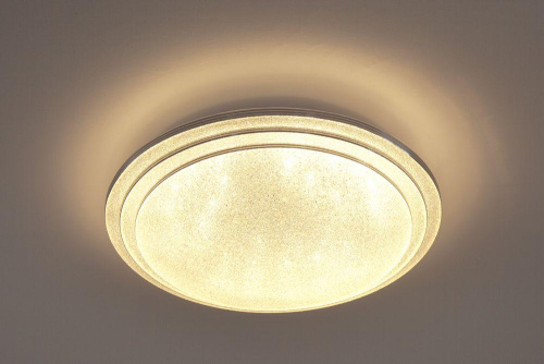 Потолочный светодиодный светильник Escada 10268/S LED Потолочный светодиодный светильник Escada 10268/S LED