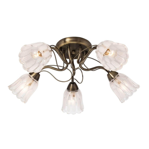 Потолочная люстра Silver Light Azalea 504.53.5 Потолочная люстра Silver Light Azalea 504.53.5