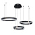 Подвесной светодиодный светильник Arte Lamp Shine A2222SP-3BK