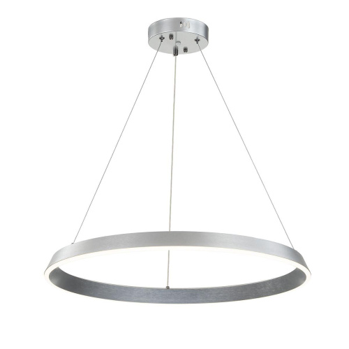 Подвесной светодиодный светильник Indigo Orta 14019/1P Silver V000091L Подвесной светодиодный светильник Indigo Orta 14019/1P Silver V000091L