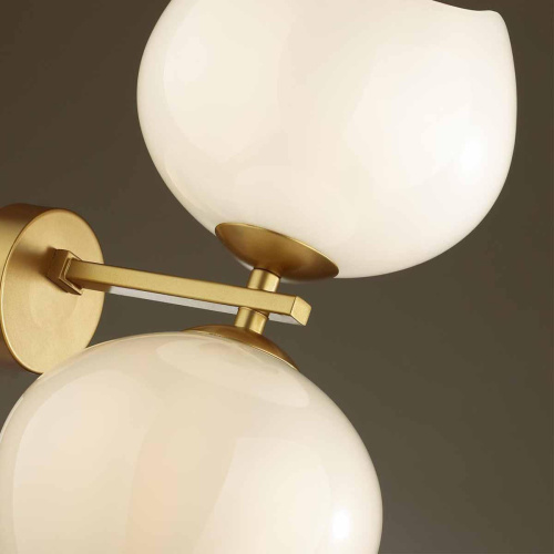 Бра Odeon Light Modern Waterlily 4873/2W Бра Odeon Light Modern Waterlily 4873/2W