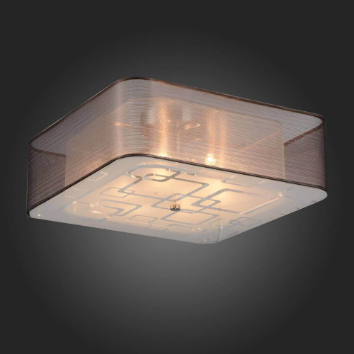 Потолочный светильник ST Luce SL940.802.06 Потолочный светильник ST Luce SL940.802.06