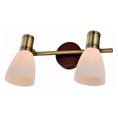 Спот Toplight Sharyl TL3720Y-02BB Спот Toplight Sharyl TL3720Y-02BB