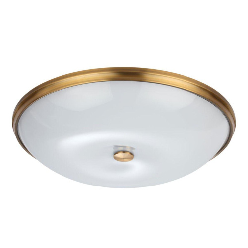 Потолочный светильник Odeon Light Walli Pelow 4956/6 Потолочный светильник Odeon Light Walli Pelow 4956/6