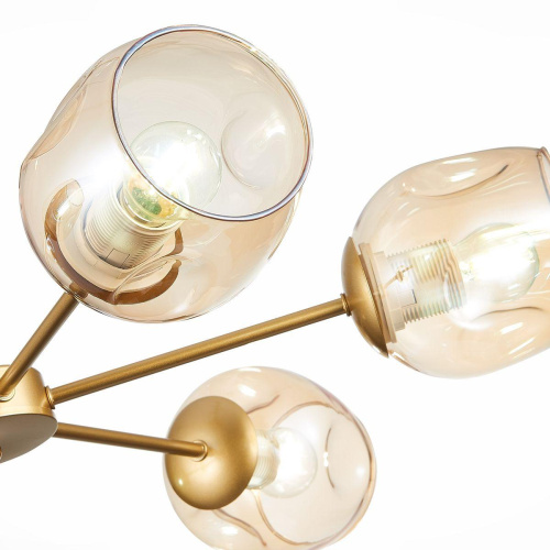 Потолочная люстра Evoluce Pallo SLE155412-06 Потолочная люстра Evoluce Pallo SLE155412-06