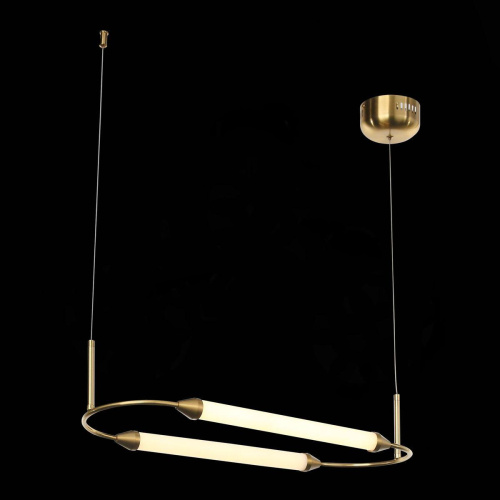 Подвесной светодиодный светильник ST Luce Olbia SL6004.313.02 Подвесной светодиодный светильник ST Luce Olbia SL6004.313.02