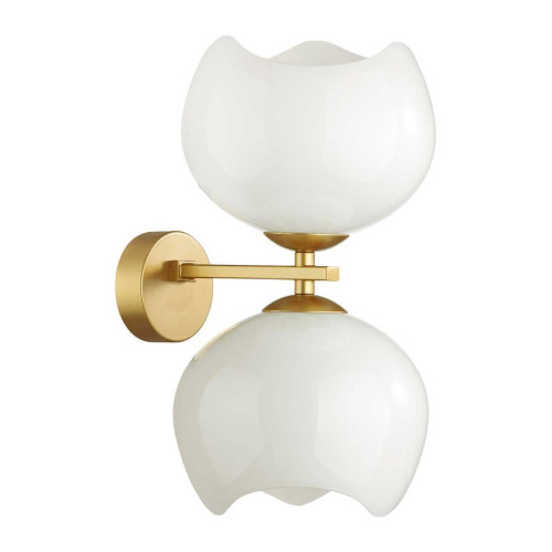 Бра Odeon Light Modern Waterlily 4873/2W Бра Odeon Light Modern Waterlily 4873/2W