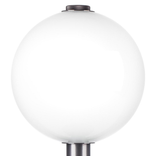 Настольная светодиодная лампа Lightstar Colore 805916 Настольная светодиодная лампа Lightstar Colore 805916
