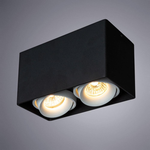 Потолочный светильник Arte Lamp Pictor A5654PL-2BK Потолочный светильник Arte Lamp Pictor A5654PL-2BK