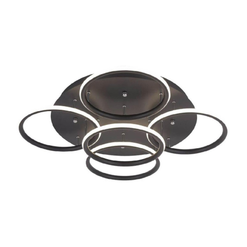 Потолочная светодиодная люстра Arte Lamp A2500PL-5BK