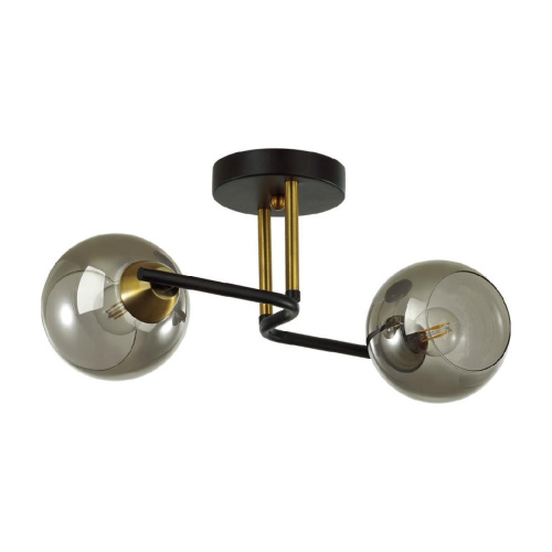 Потолочная люстра Lumion Moderni Janet 5217/2C Потолочная люстра Lumion Moderni Janet 5217/2C