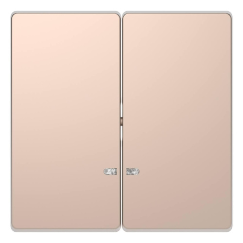 Клавиша двойная Schneider Electric Merten D-Life MTN3420-6051