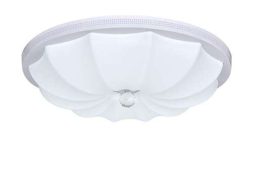 Потолочный светодиодный светильник Escada 10231/S LED Потолочный светодиодный светильник Escada 10231/S LED