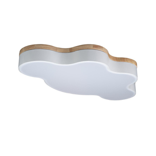 Потолочный светодиодный светильник Loft IT Axel 10005/36 white Потолочный светодиодный светильник Loft IT Axel 10005/36 white