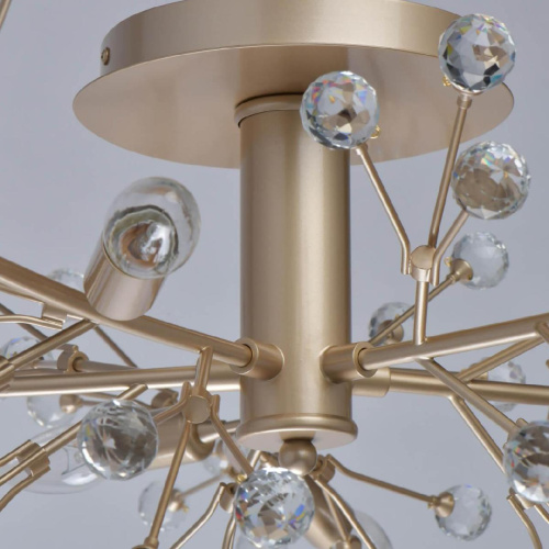 Потолочная люстра MW-Light Адриатика 280011810 Потолочная люстра MW-Light Адриатика 280011810