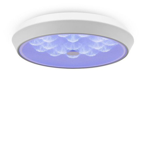 Потолочный светодиодный светильник Freya Cells FR10012CL-L24W Потолочный светодиодный светильник Freya Cells FR10012CL-L24W