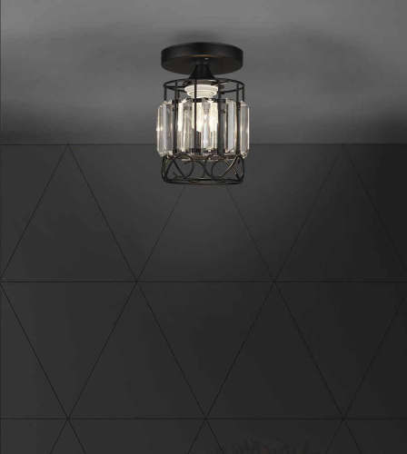 Потолочный светильник Seven Fires Beteni WD3567/1C-BK-CL Потолочный светильник Seven Fires Beteni WD3567/1C-BK-CL