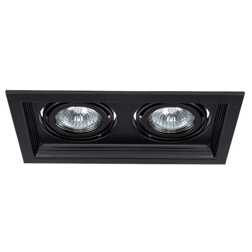 Встраиваемый светильник Arte Lamp Canis A6661PL-2BK Встраиваемый светильник Arte Lamp Canis A6661PL-2BK
