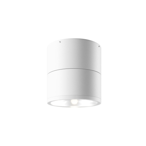 Потолочный светильник Outdoor O310CL-L12W3K Потолочный светильник Outdoor O310CL-L12W3K