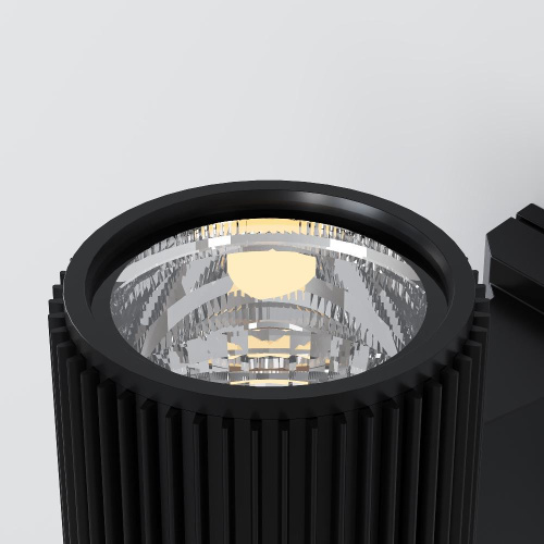 Настенный светильник Maytoni Outdoor O419WL-01B