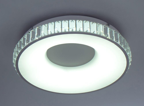 Потолочный светодиодный светильник Escada 10214/1LED