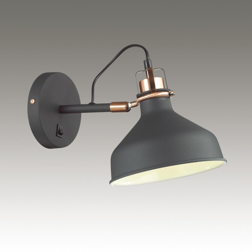 Спот Odeon Light Lurdi 3329/1W Спот Odeon Light Lurdi 3329/1W