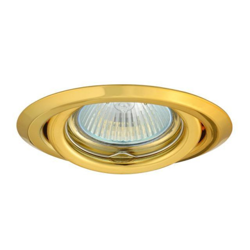 Точечный светильник Kanlux ARGUS CT-2115-G 304 Точечный светильник Kanlux ARGUS CT-2115-G 304