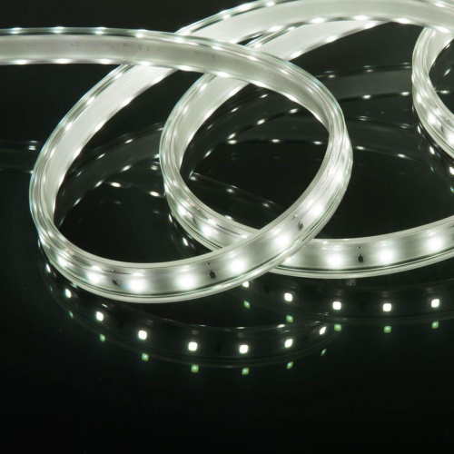 Светодиодная влагозащищенная лента Elektrostandard 8W/m 60LED/m 2835SMD холодный белый 50M a053638 Светодиодная влагозащищенная лента Elektrostandard 8W/m 60LED/m 2835SMD холодный белый 50M a053638