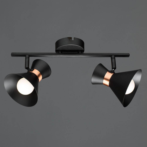 Спот Arte Lamp Baltimore A1406AP-2BK Спот Arte Lamp Baltimore A1406AP-2BK