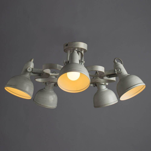 Потолочная люстра Arte Lamp Martin A5216PL-5WG Потолочная люстра Arte Lamp Martin A5216PL-5WG