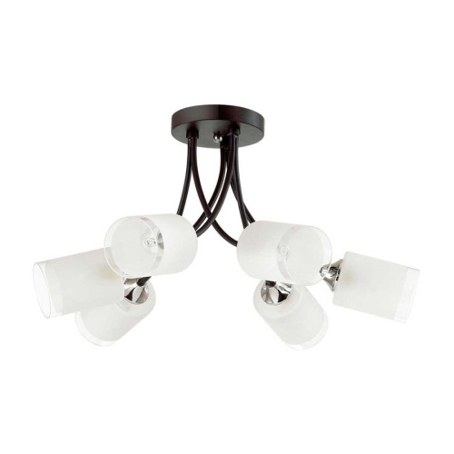 Потолочная люстра Lumion Paula 4533/6C Потолочная люстра Lumion Paula 4533/6C