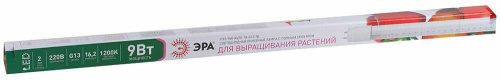 Лампа светодиодная для растений ЭРА G13 9W 1200K прозрачная XGYT8B102-E9 F Б0042988 Лампа светодиодная для растений ЭРА G13 9W 1200K прозрачная XGYT8B102-E9 F Б0042988