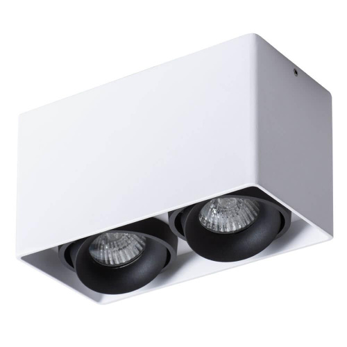 Потолочный светильник Arte Lamp Pictor A5654PL-2WH Потолочный светильник Arte Lamp Pictor A5654PL-2WH
