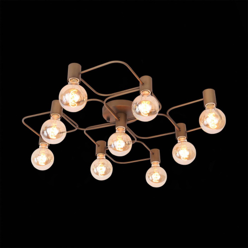Потолочная люстра ST Luce Tavere SL413.202.09 Потолочная люстра ST Luce Tavere SL413.202.09
