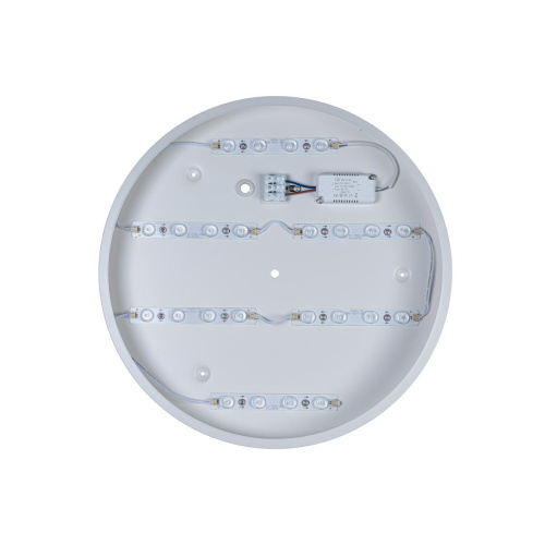 Потолочный светодиодный светильник Loft IT Axel 10003/24 white Потолочный светодиодный светильник Loft IT Axel 10003/24 white