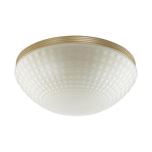 Потолочный светильник Odeon Light Modern Malaga 4936/3C Потолочный светильник Odeon Light Modern Malaga 4936/3C