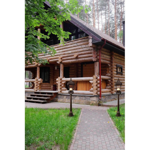 Уличный светильник Chiaro Шато 800040203 Уличный светильник Chiaro Шато 800040203