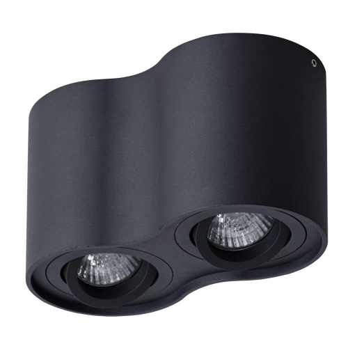 Потолочный светильник Arte Lamp Falcon A5645PL-2BK Потолочный светильник Arte Lamp Falcon A5645PL-2BK